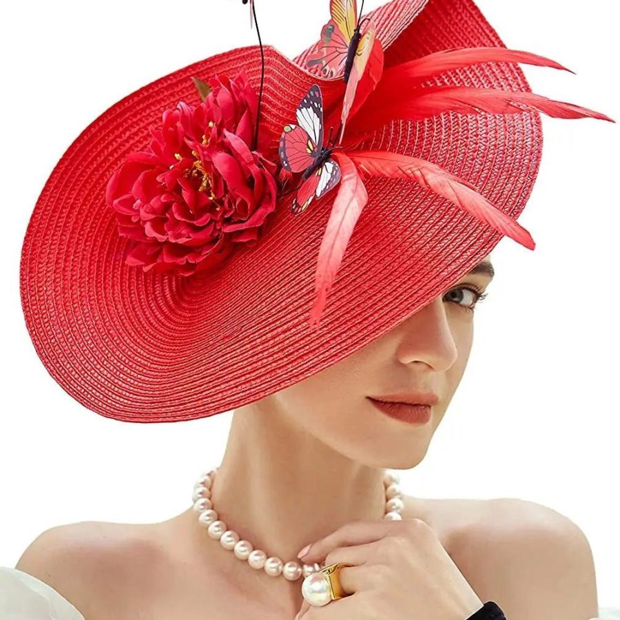 chapeau élégant plumes
